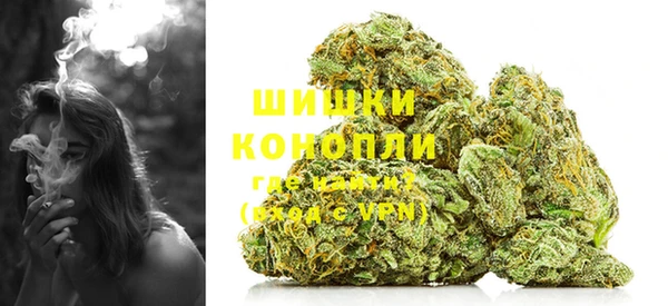 молекула духа Коряжма
