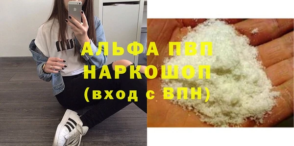 молекула духа Коряжма