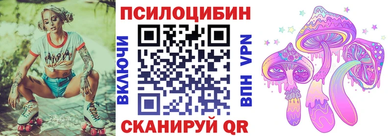 Галлюциногенные грибы Cubensis  Купить закладки  Кирово-Чепецк 